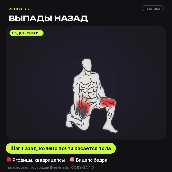 Выпады назад — техника