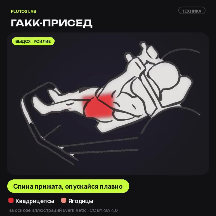 Гакк-присед