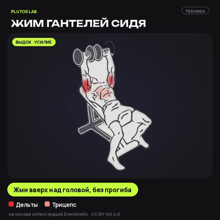 Жим гантелей сидя