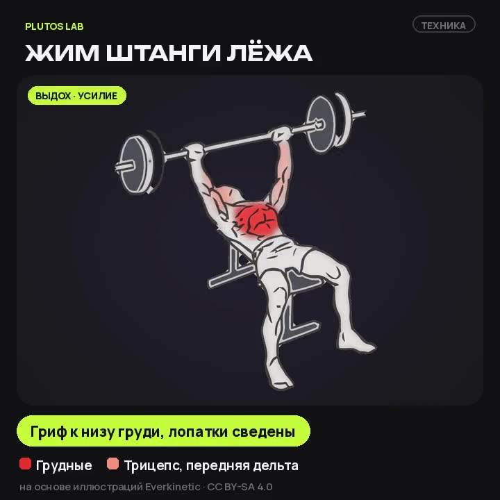 Жим штанги лёжа