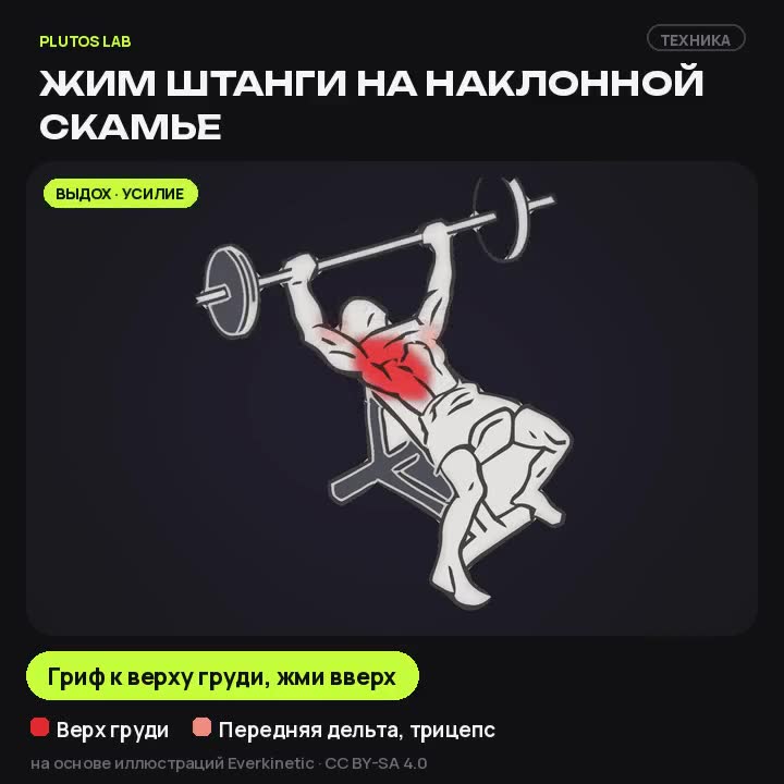 Жим штанги на наклонной скамье