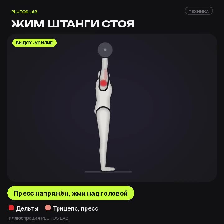 Жим штанги стоя