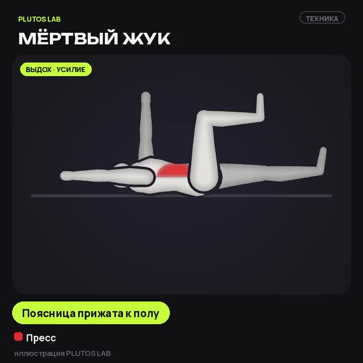Мёртвый жук