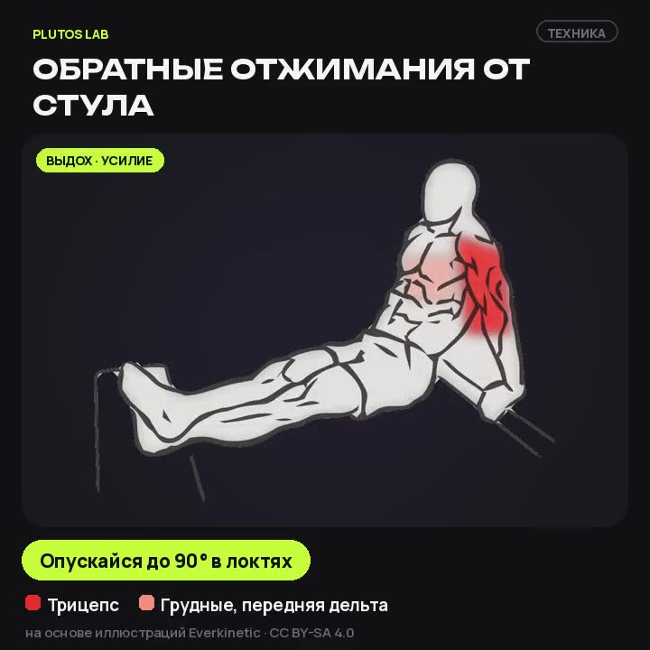 Обратные отжимания от стула