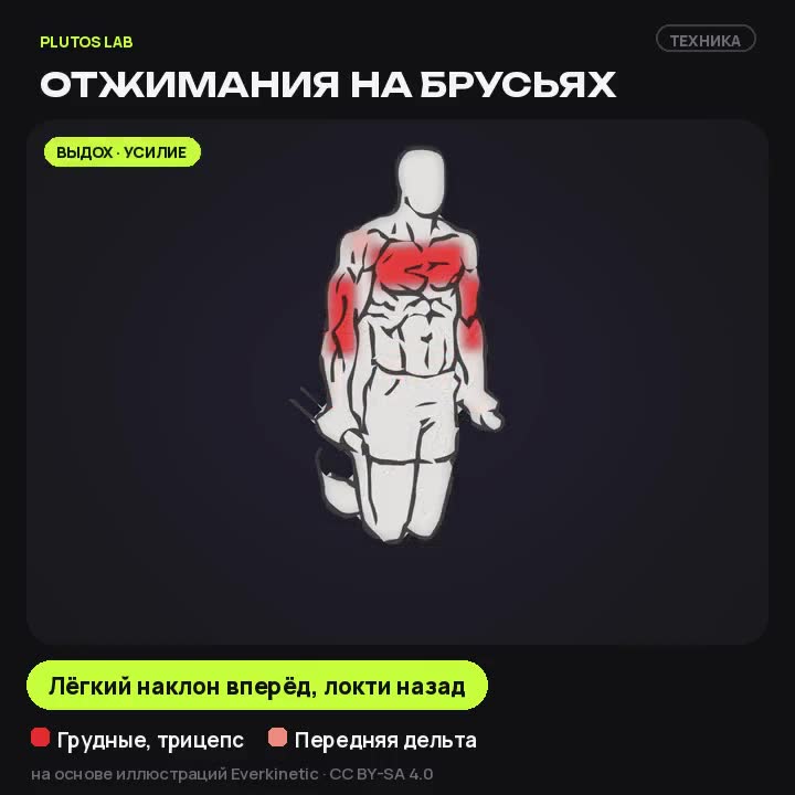 Отжимания на брусьях