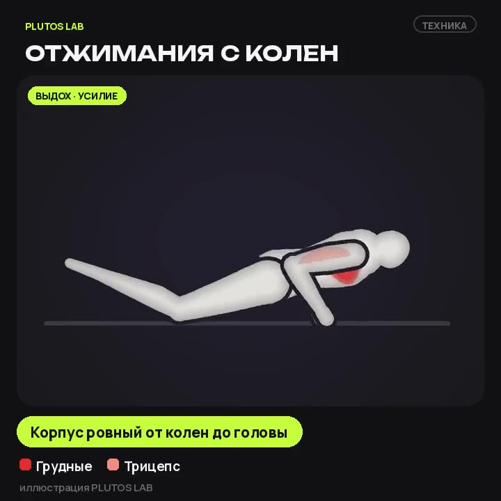 Отжимания с колен — техника