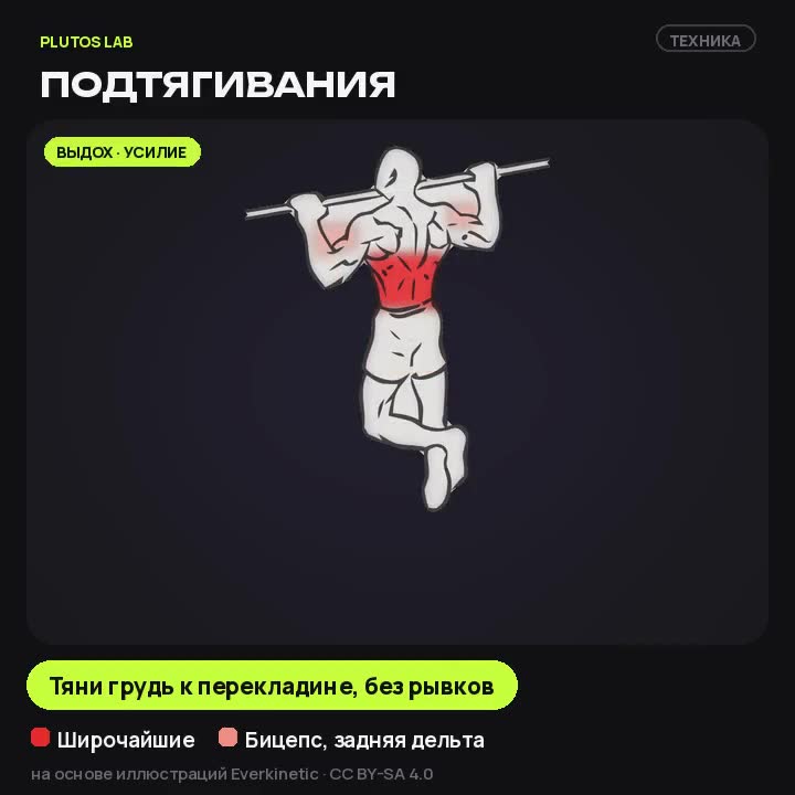 Подтягивания