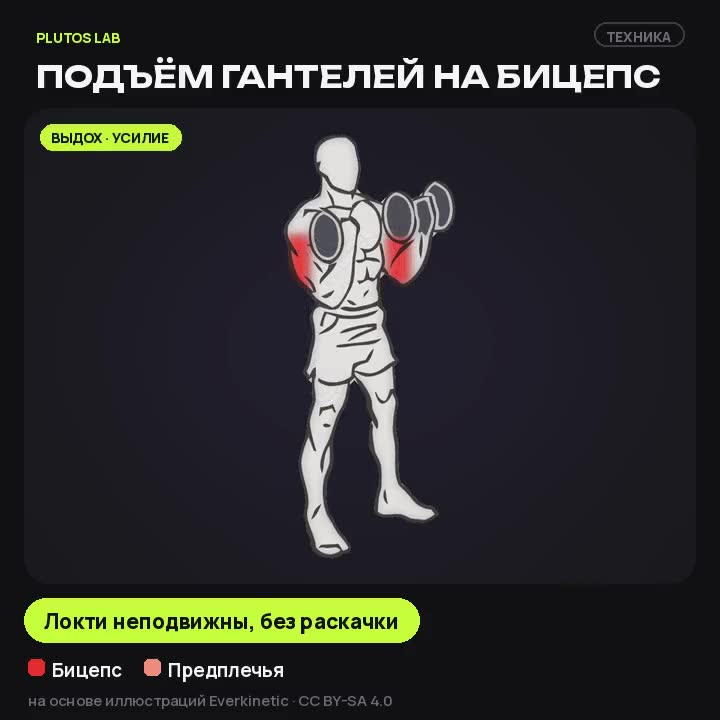 Подъём гантелей на бицепс