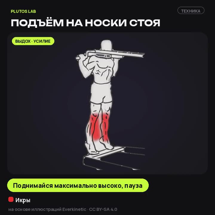 Подъём на носки стоя — техника