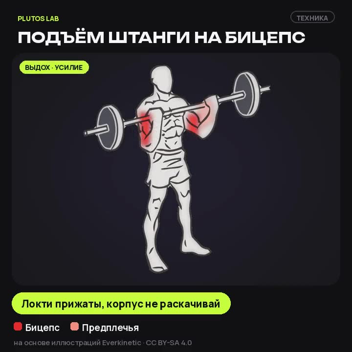 Подъём штанги на бицепс