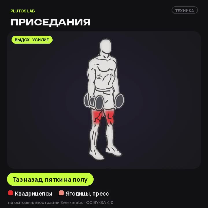 Приседания