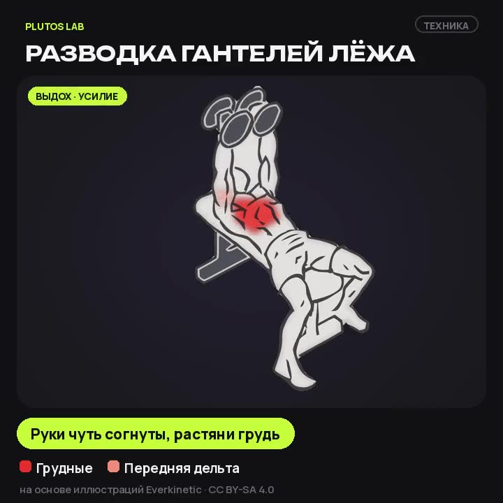 Разводка гантелей лёжа