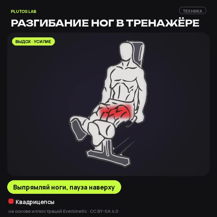 Разгибание ног в тренажёре