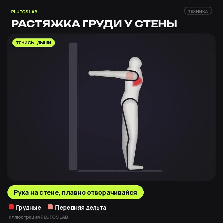 Растяжка груди у стены