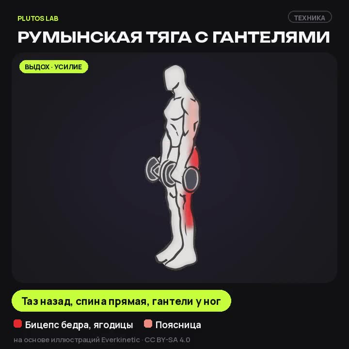 Румынская тяга с гантелями — техника