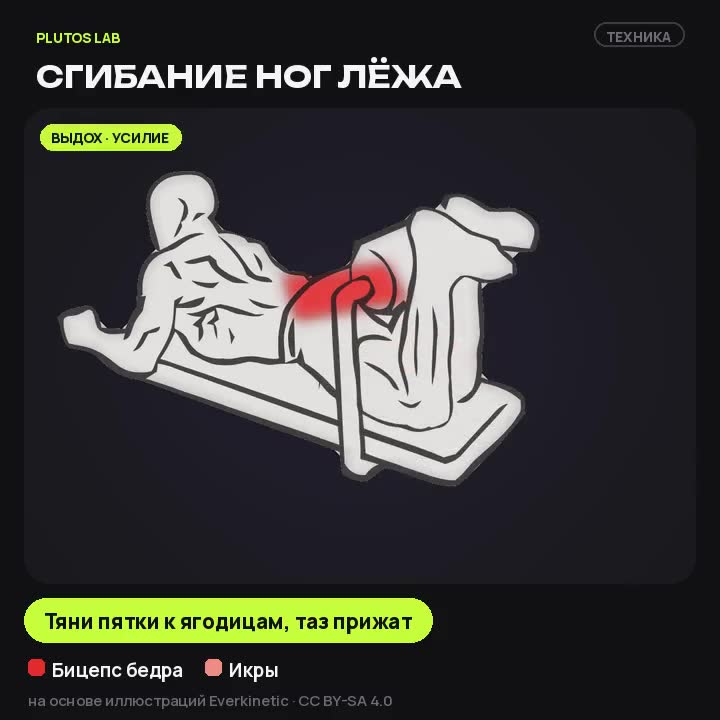Сгибание ног лёжа