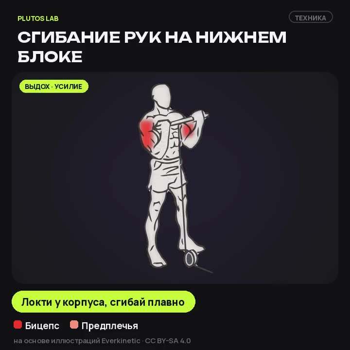 Сгибание рук на нижнем блоке