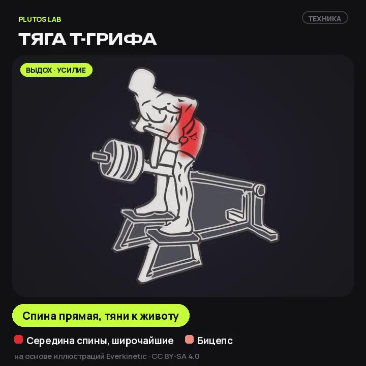 Тяга Т-грифа