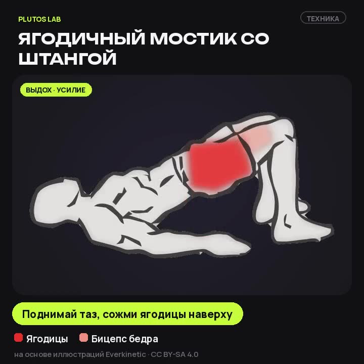 Ягодичный мостик со штангой — техника