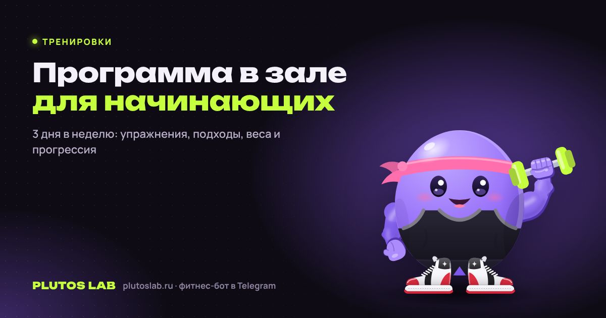 Программа тренировок в зале для начинающих: план на 3 дня в неделю
